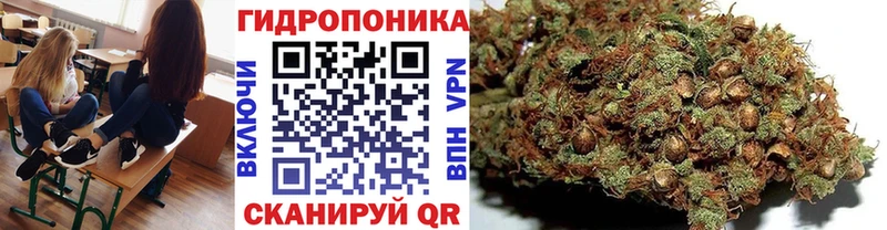 Марихуана Bruce Banner  закладки  Усмань 